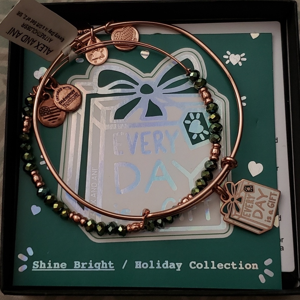 alex and ani, every day is a gift, set of 2 BNWT